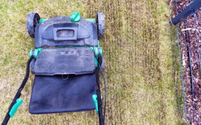 Lawn Aeration: Spike vs. Plug Aerators