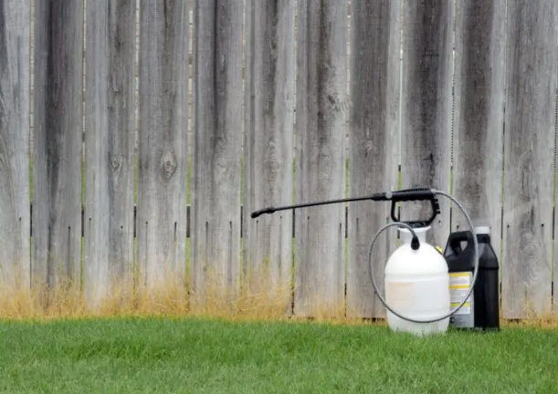 Is Weed and Feed Bad for Your Lawn?