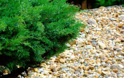 Creative River Rock Landscaping Ideas for Every Garden