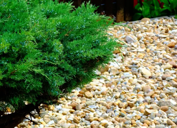 Creative River Rock Landscaping Ideas for Every Garden