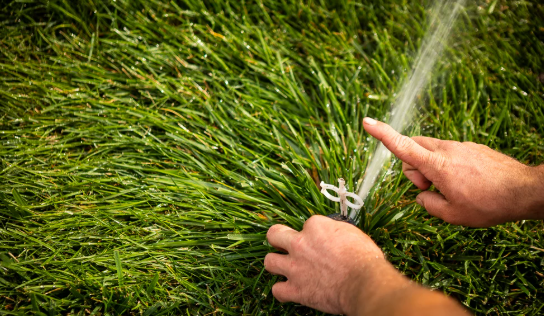 irrigation-1