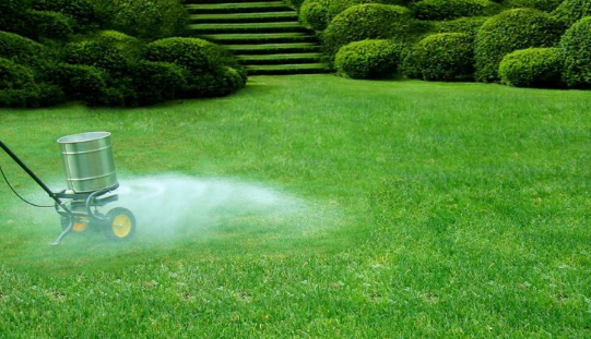 lawn-fert-1