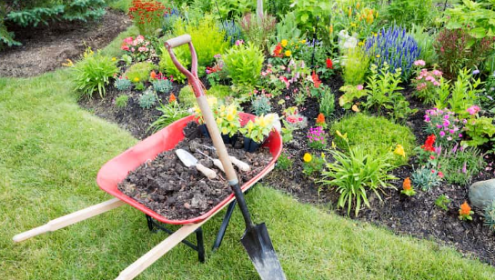 plant-bed-1