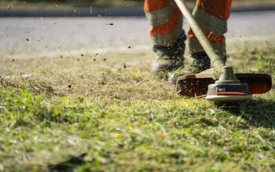 The Importance of Professional Lawn Mowing Services