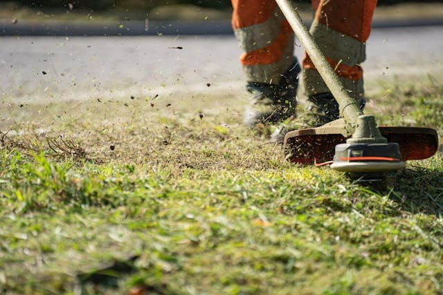 The Importance of Professional Lawn Mowing Services