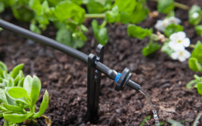 Landscape Drip Irrigation: Smarter Watering for Healthier Plants (and Lower Bills)