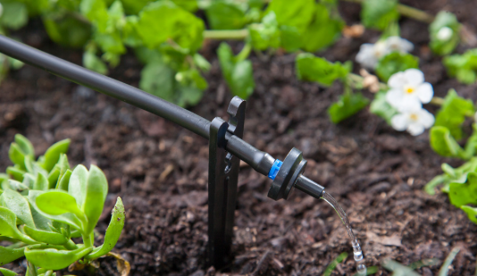 Landscape Drip Irrigation: Smarter Watering for Healthier Plants (and Lower Bills)